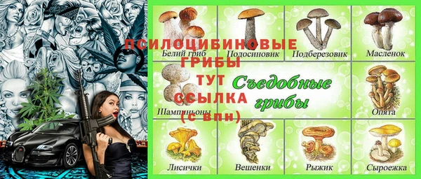 бошки Абаза