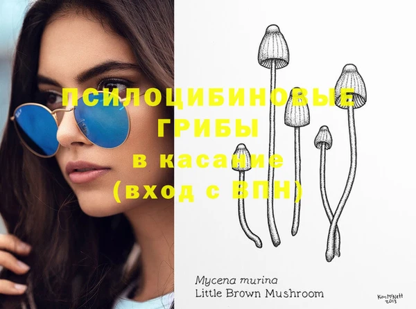 бошки Абаза