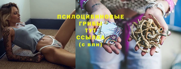 сатива Абдулино