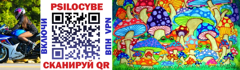Псилоцибиновые грибы Psilocybine cubensis Усмань